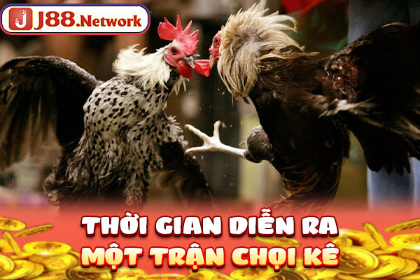Thời gian diễn ra một trận chọi kê Thời gian diễn ra một trận chọi kê