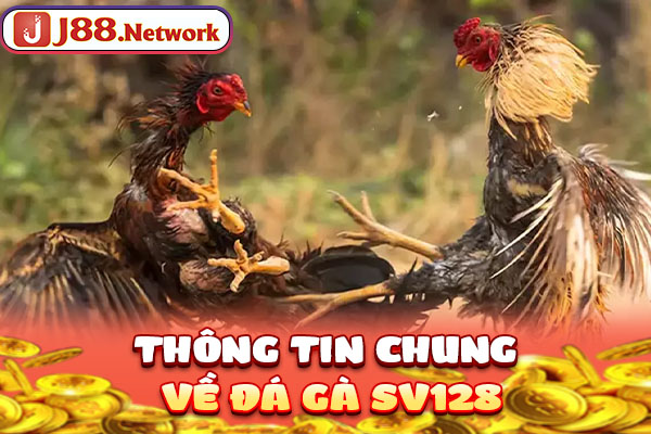Thông tin chung về đá gà SV128 Thông tin chung về đá gà SV128